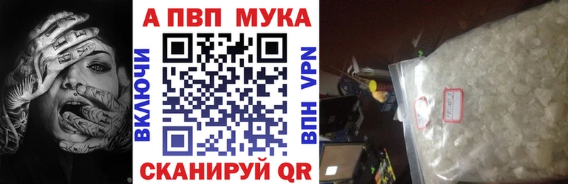 Альфа ПВП СК  Онега 