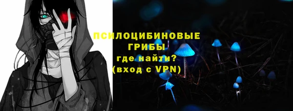 амф Балахна